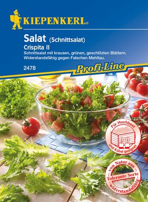 Kiepenkerl® Salat Crispita II - Gemüsesamen
