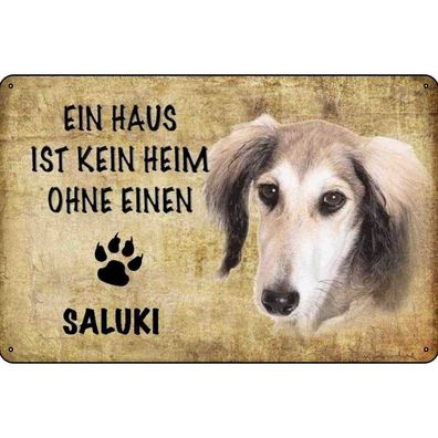 Blechschild 20x30 cm - Saluki Hund ohne kein Heim Metal