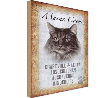 Holzschild 20x30 cm - Maine Coon Katze aktiv Geschenk