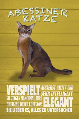 vianmo Blechschild 20x30 cm gewölbt Tier Abyssinian Katze verspielt