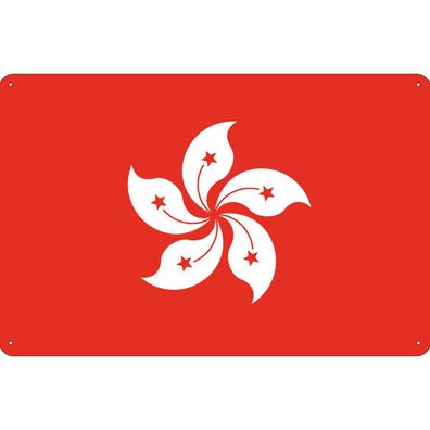 vianmo Blechschild Wandschild 30x40 cm Hongkong Fahne Flagge