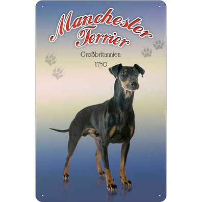 Blechschild 18x12 cm - Hund Manchester Terrier Großbritanien