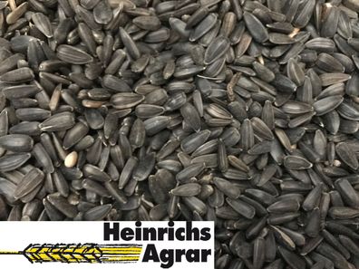 Heinrichs Agrar - 5 kg schwarze Sonnenblumenkerne - aus der Layenmühle