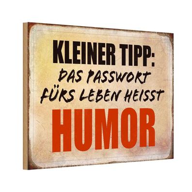 Holzschild 20x30 cm - kleiner Tipp das Passwort Humor