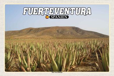 Holzschild 20x30 cm - Fuerteventura Spanien Aloe Vera Plantage