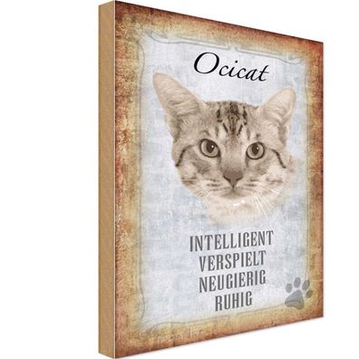 Holzschild 20x30 cm - Ocicat Katze verspielt Geschenk
