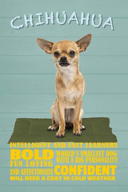Holzschild 20x30 cm - Chihuahua Hund bold confident