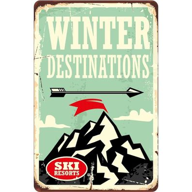 vianmo Blechschild 20x30 cm gewölbt Dekoration Ski winter destinations