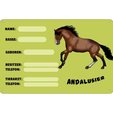 Blechschild 18x12 cm - Pferd Andalusier Name Besitzer Rasse