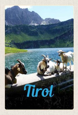 Blechschild 20x30 cm - Tirol Österreich Ziegen Wasser Natur