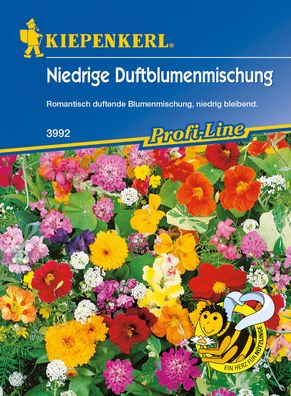 Kiepenkerl® Niedrige Duftblumenmischung - Blumensamen