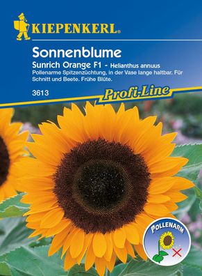 Kiepenkerl® Sonnenblumen Sunrich Orange F1 - Blumensamen