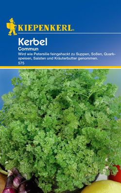 Kiepenkerl® Kerbel Commun - Kräutersamen