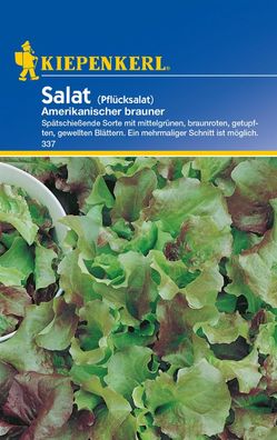 Kiepenkerl® Salat Amerikanischer brauner - Gemüsesamen