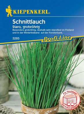 Kiepenkerl® Schnittlauch Staro - Kräutersamen