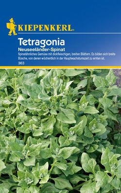 Kiepenkerl® Tetragonia Neuseeländer-Spinat - Gemüsesamen