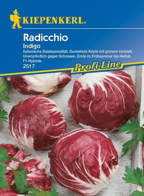 Kiepenkerl® Radicchio Indigo F1 - Hybride - Gemüsesamen