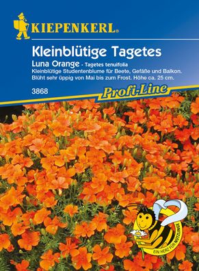 Kiepenkerl® Kleinblütige Studentenblumen Tagetes Luna Orange - Blumensamen