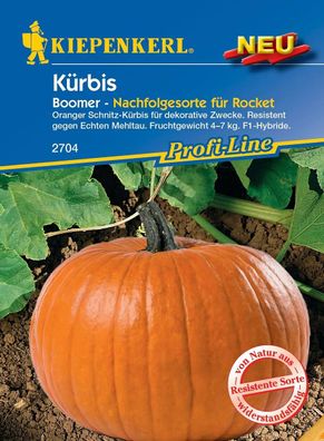 Kiepenkerl® Kürbis Boomer F1 - Hybride - Gemüsesamen