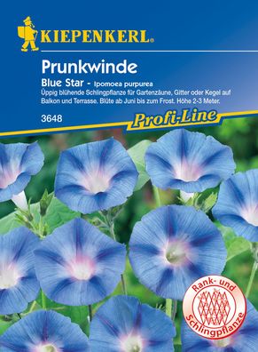 Kiepenkerl® Prunkwinden Blue Star - Blumensamen