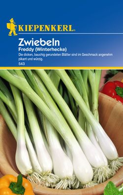Kiepenkerl® Zwiebeln Freddy Winterhecke - Gemüsesamen