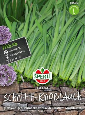 Sperli Schnitt-Knoblauch Fat Leaf - Kräutersamen