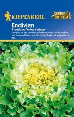Kiepenkerl® Endivien Breedblad Volhart Winter - Gemüsesamen