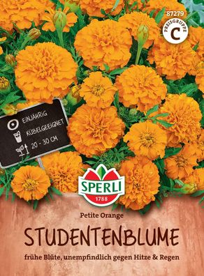 Sperli Studentenblumen Petite Orange - Blumensamen