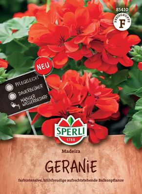 Sperli Geranien - Pelargonien Madeira rot stehend - Blumensamen