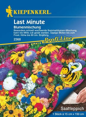 Kiepenkerl® Blumenmischung Last Minute - Saatteppich - Blumensamen