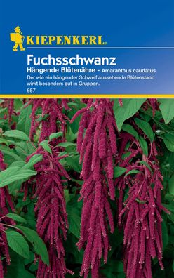 Kiepenkerl® Fuchsschwanz rot - Blumensamen