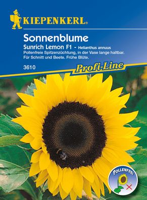 Kiepenkerl® Sonnenblume Sunrich Lemon F1 - Blumensamen