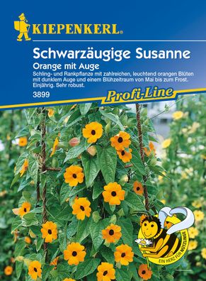 Kiepenkerl® Schwarzäugige Susanne Orange mit Auge - Blumensamen