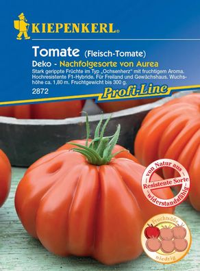 Kiepenkerl® Tomaten - Fleisch-Tomaten Deko - Gemüsesamen
