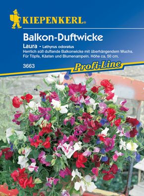 Kiepenkerl® Balkon-Duftwicken Laura - Blumensamen