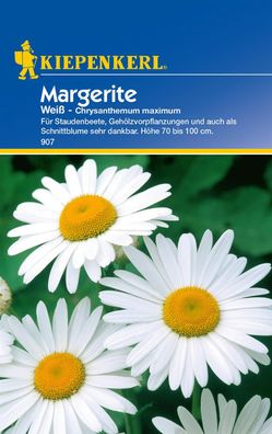 Kiepenkerl® Margerite Weiß - Blumensamen