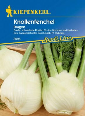 Kiepenkerl® Knollenfenchel Dragon - Gemüsesamen
