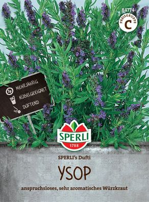 Sperli Ysop SPERLI´s Dufti - Blumen- / Kräutersamen