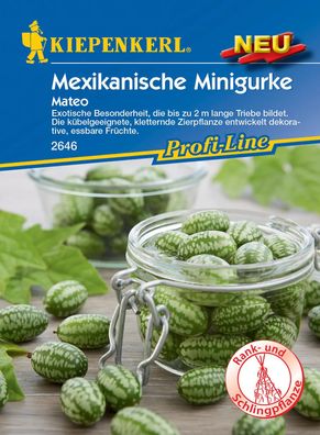 Kiepenkerl® Mexikanische Minigurken Mateo - Gemüsesamen