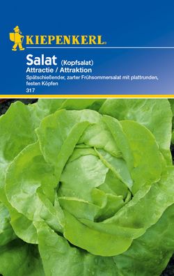 Kiepenkerl® Salat Attraktion - Gemüsesamen