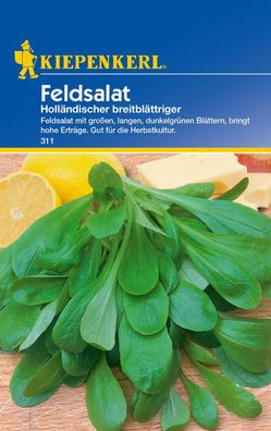Kiepenkerl® Feldsalat Holländischer breitblättriger - Gemüsesamen