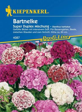 Kiepenkerl® Bartnelken Super Duplex Mischung - Blumensamen
