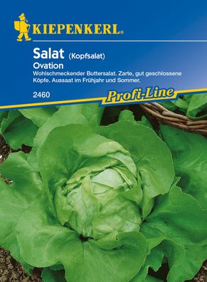Kiepenkerl® Salat Ovation - Gemüsesamen