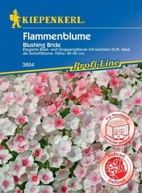 Kiepenkerl® Flammenblumen Blushing Bride - Blumensamen