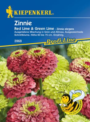 Kiepenkerl® Zinnien Red Lime & Green Lime - Blumensamen