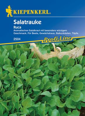 Kiepenkerl® Salatrauke Ruca - Gemüsesamen