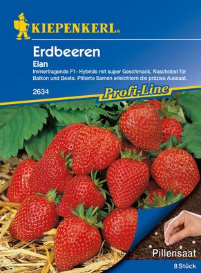 Kiepenkerl® Erdbeeren Elan - Pillensaatgut - Obstsamen
