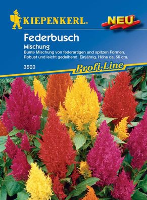 Kiepenkerl® Federbusch Mischung - Blumensamen
