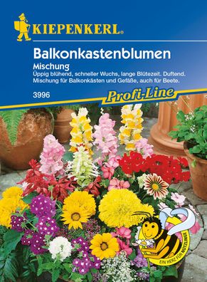 Kiepenkerl® Balkonkastenblumen Mischung - Blumensamen
