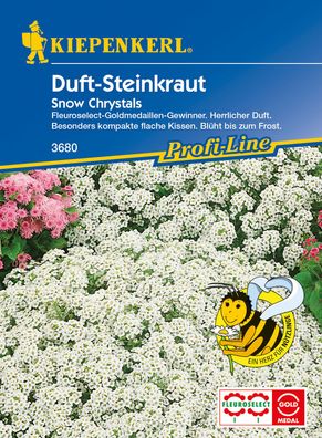 Kiepenkerl® Duft-Steinkraut Snow Chrystals - Blumensamen